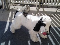 /album/patu/puh0304-030-jpg/